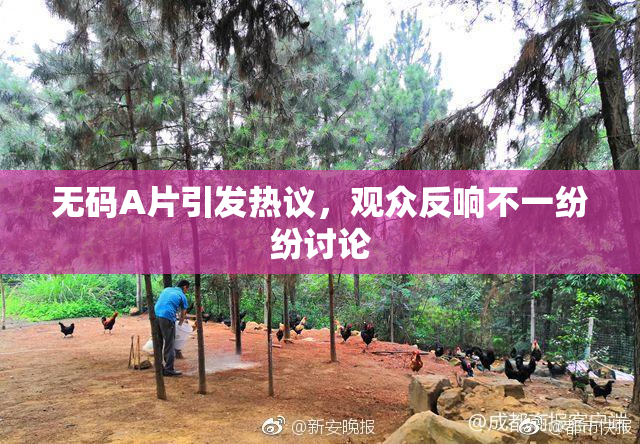 无码A片引发热议，观众反响不一纷纷讨论