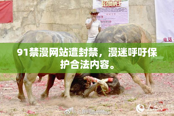 91禁漫网站遭封禁，漫迷呼吁保护合法内容。
