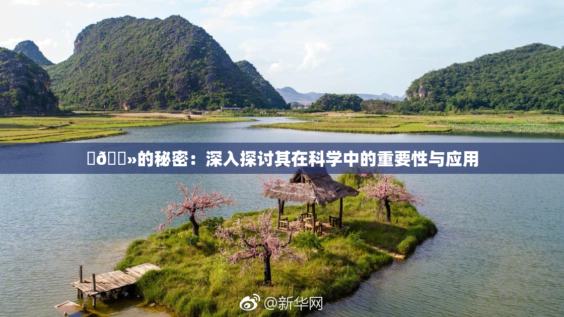 ‌🐻的秘密：深入探讨其在科学中的重要性与应用