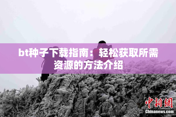 bt种子下载指南：轻松获取所需资源的方法介绍