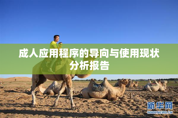 成人应用程序的导向与使用现状分析报告