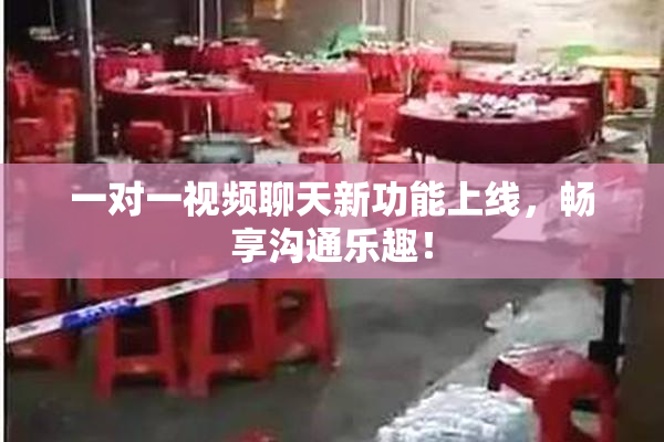 一对一视频聊天新功能上线，畅享沟通乐趣！