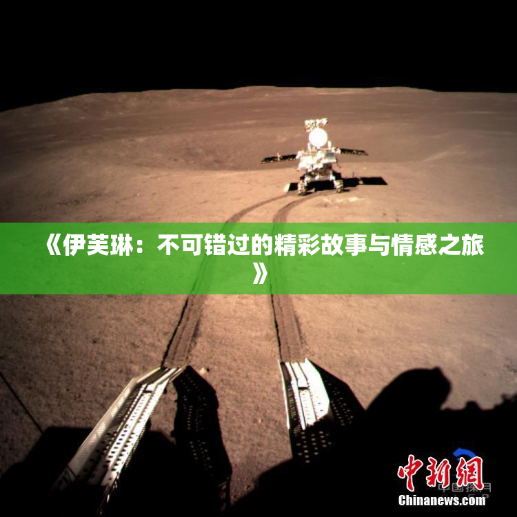 《伊芙琳：不可错过的精彩故事与情感之旅》