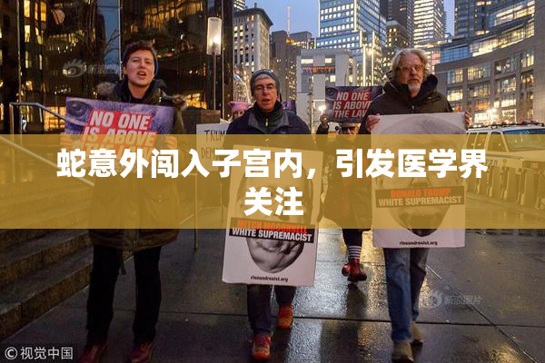 蛇意外闯入子宫内，引发医学界关注