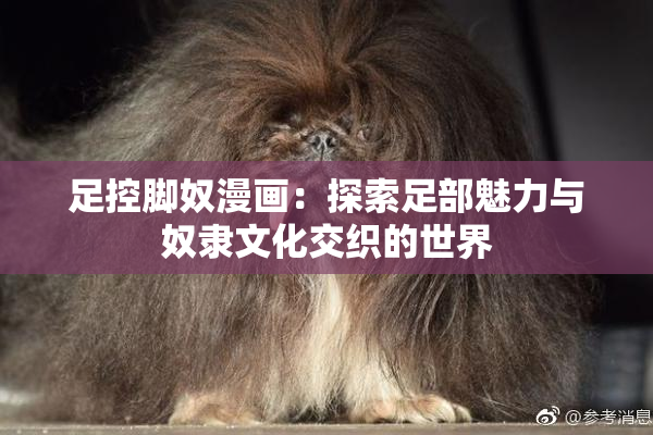 足控脚奴漫画：探索足部魅力与奴隶文化交织的世界
