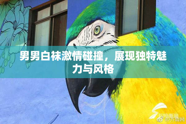 男男白袜激情碰撞，展现独特魅力与风格