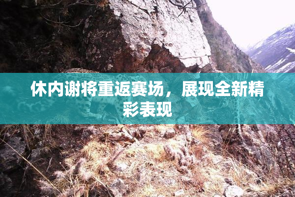 休内谢将重返赛场，展现全新精彩表现