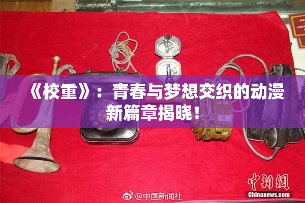 《校重》：青春与梦想交织的动漫新篇章揭晓！