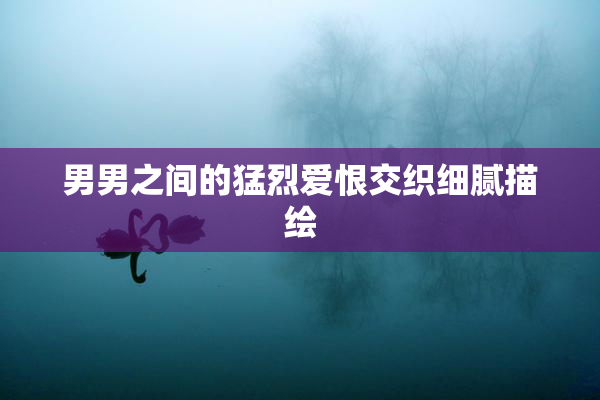男男之间的猛烈爱恨交织细腻描绘