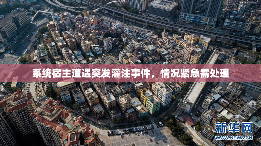 系统宿主遭遇突发灌注事件，情况紧急需处理