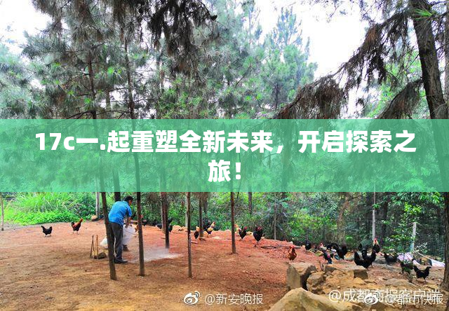 17c一.起重塑全新未来，开启探索之旅！