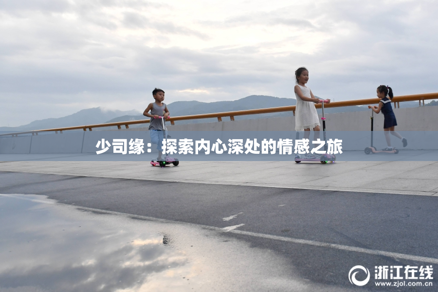少司缘：探索内心深处的情感之旅