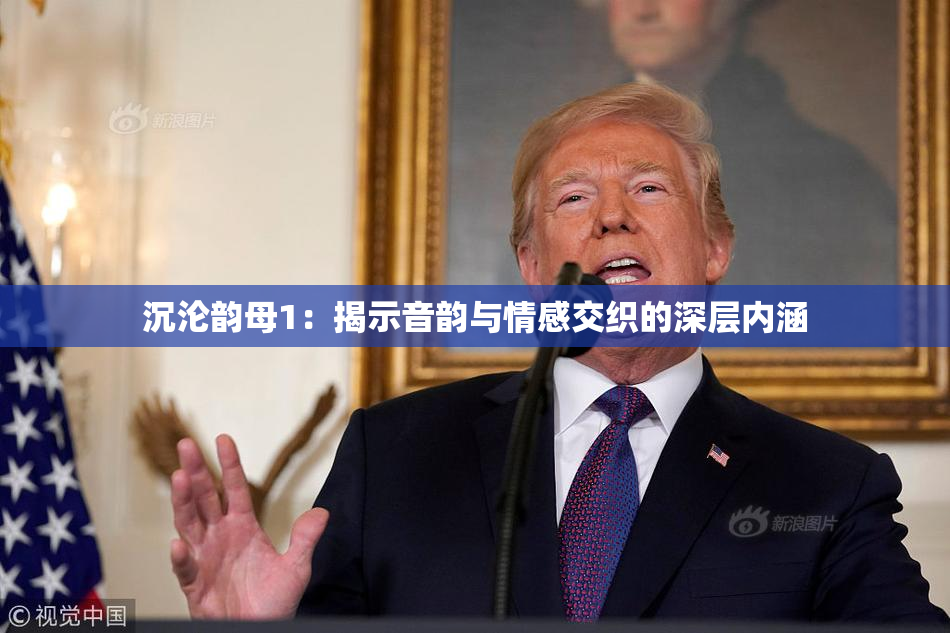 沉沦韵母1：揭示音韵与情感交织的深层内涵