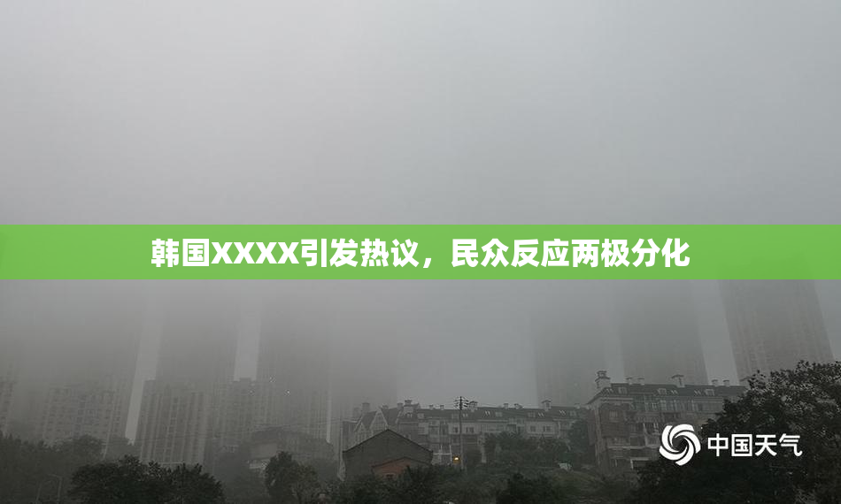 韩国XXXX引发热议，民众反应两极分化