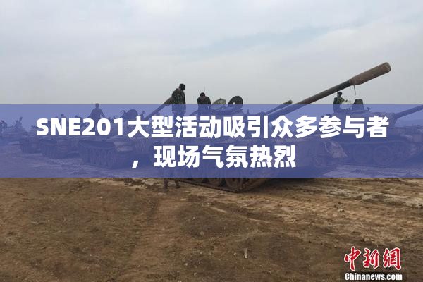 SNE201大型活动吸引众多参与者，现场气氛热烈