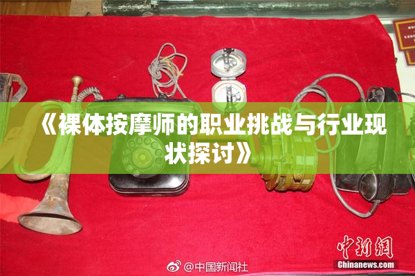 《裸体按摩师的职业挑战与行业现状探讨》
