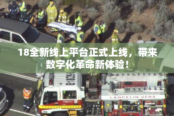 18全新线上平台正式上线，带来数字化革命新体验！
