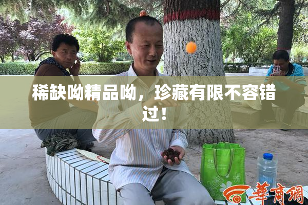 稀缺呦精品呦，珍藏有限不容错过！