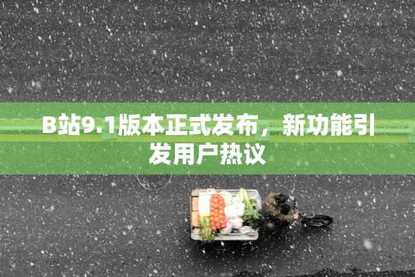 B站9.1版本正式发布，新功能引发用户热议