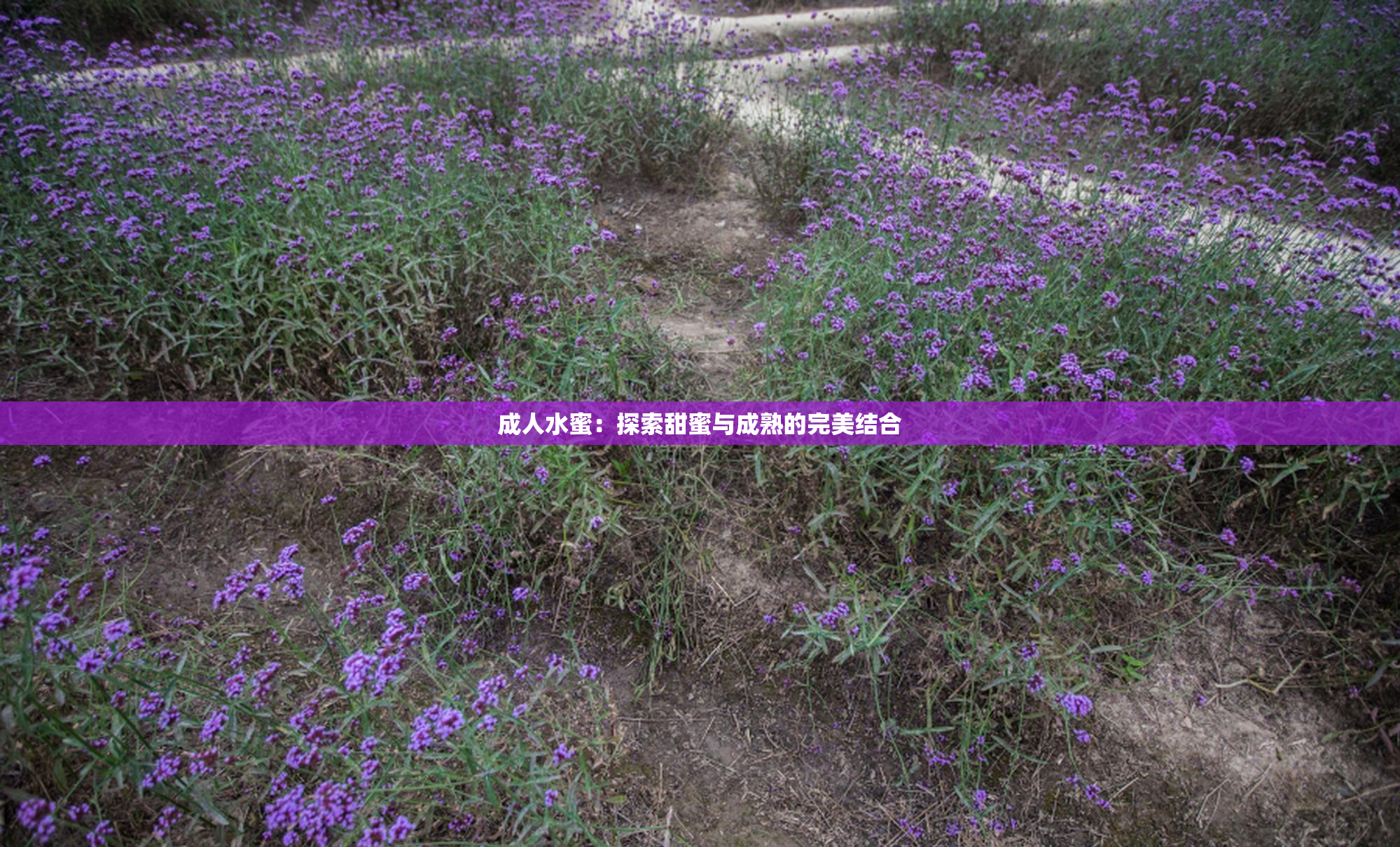 成人水蜜：探索甜蜜与成熟的完美结合