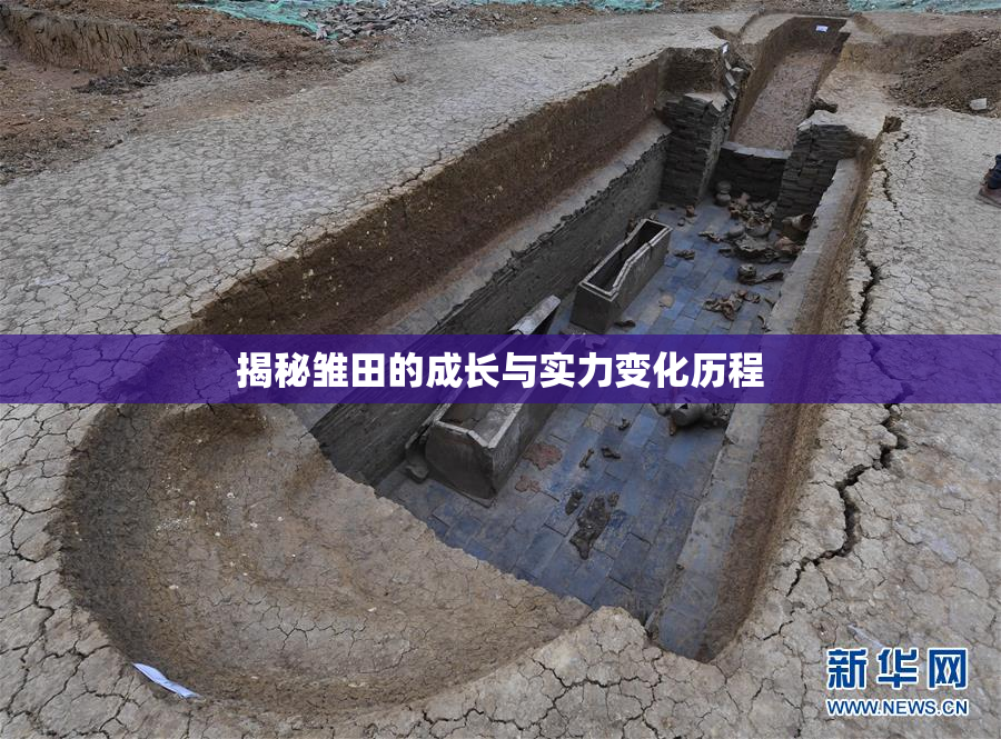 揭秘雏田的成长与实力变化历程