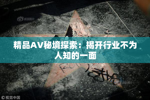 精品AV秘境探索：揭开行业不为人知的一面