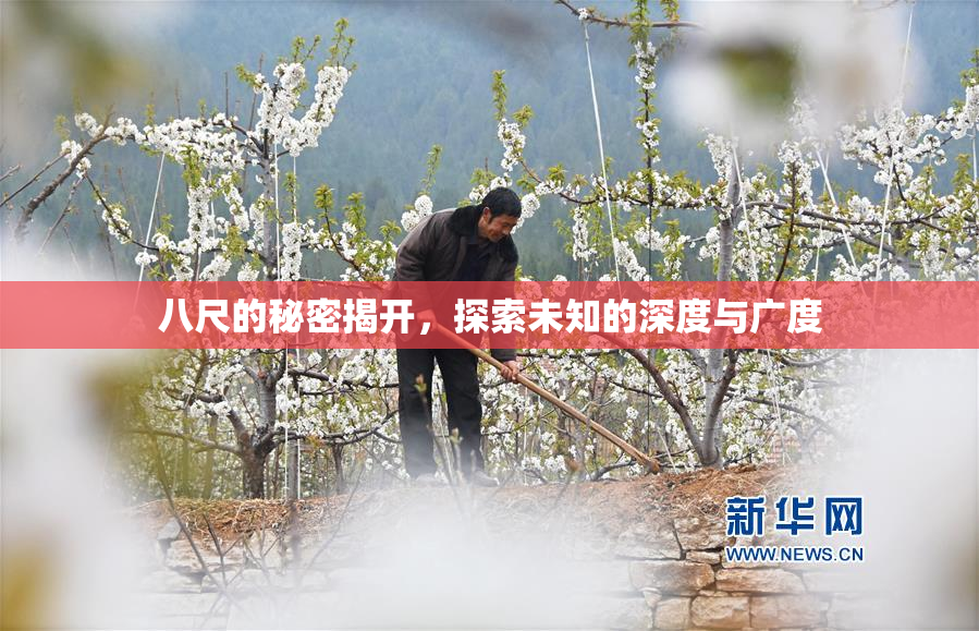 八尺的秘密揭开，探索未知的深度与广度