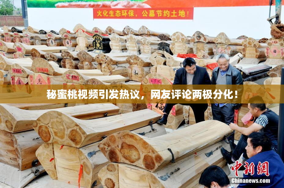秘蜜桃视频引发热议，网友评论两极分化！