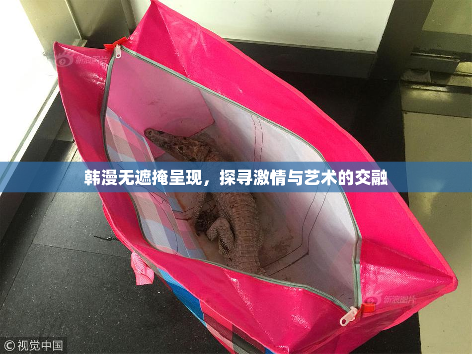 韩漫无遮掩呈现，探寻激情与艺术的交融