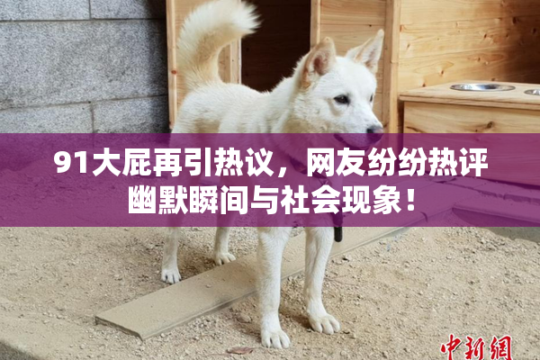 91大屁再引热议，网友纷纷热评幽默瞬间与社会现象！
