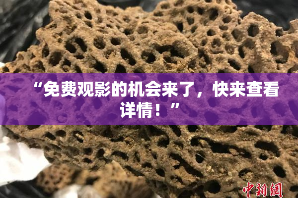 “免费观影的机会来了，快来查看详情！”