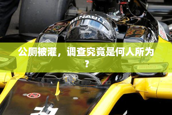 公厕被灌，调查究竟是何人所为？