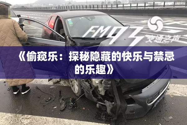 《偷窥乐：探秘隐藏的快乐与禁忌的乐趣》