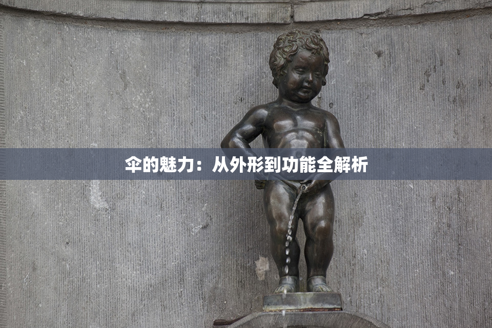 伞的魅力：从外形到功能全解析