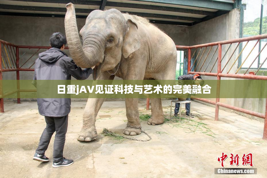 日重jA∨见证科技与艺术的完美融合