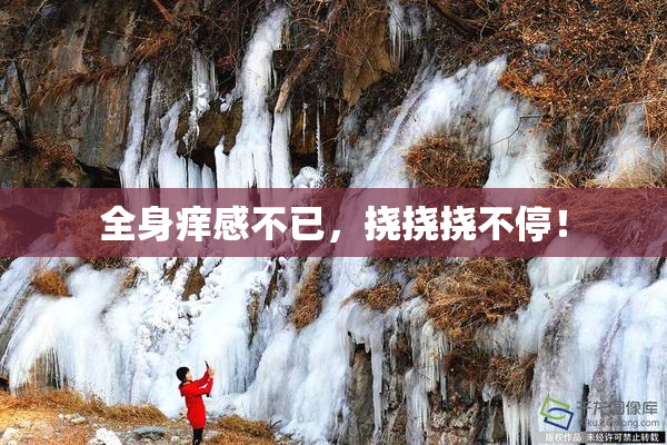 全身痒感不已，挠挠挠不停！
