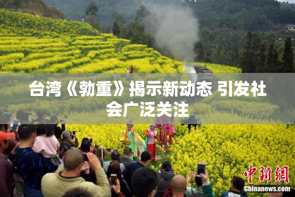 台湾《勃重》揭示新动态 引发社会广泛关注