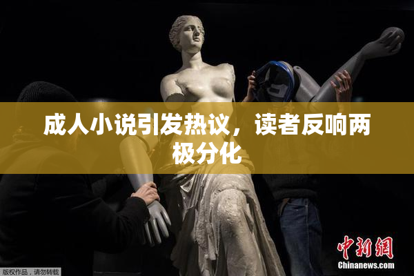 成人小说引发热议，读者反响两极分化