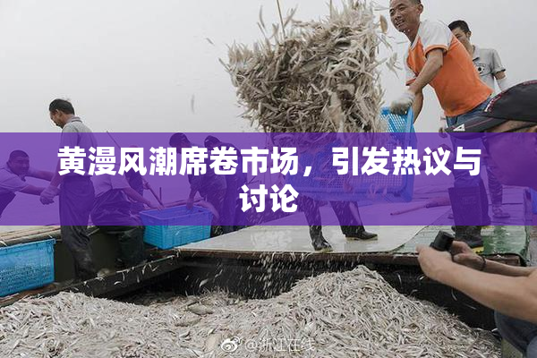 黄漫风潮席卷市场，引发热议与讨论