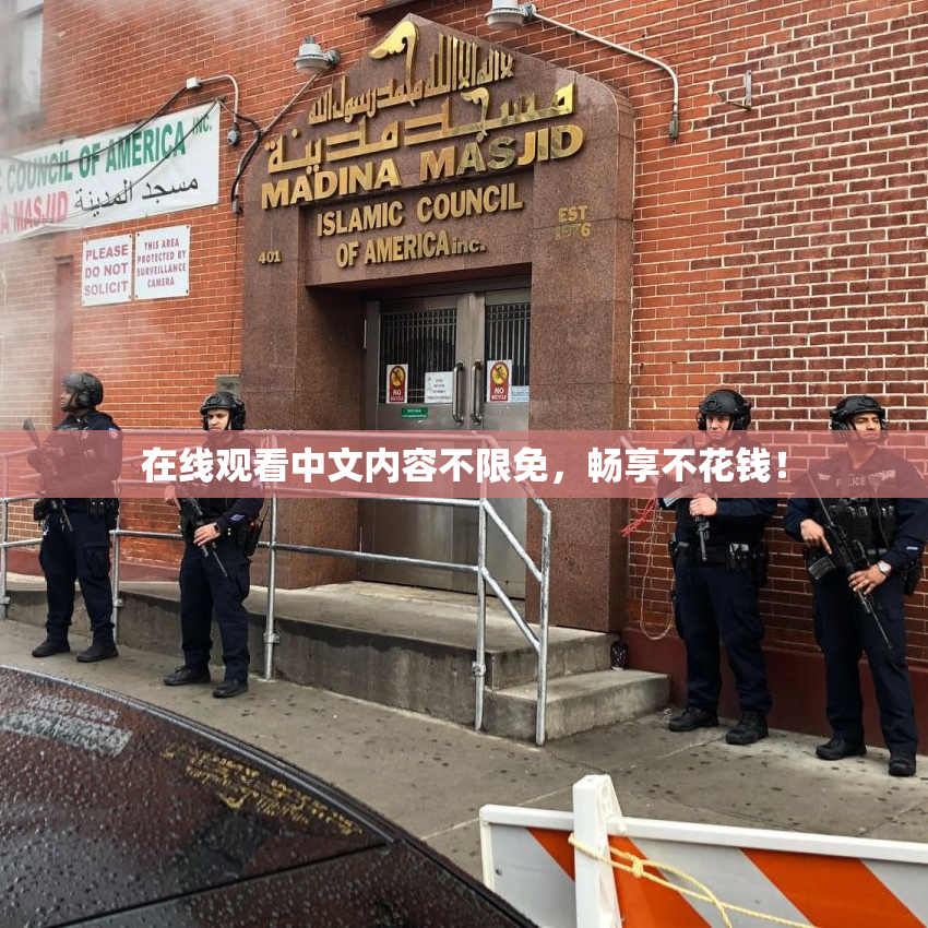 在线观看中文内容不限免，畅享不花钱！