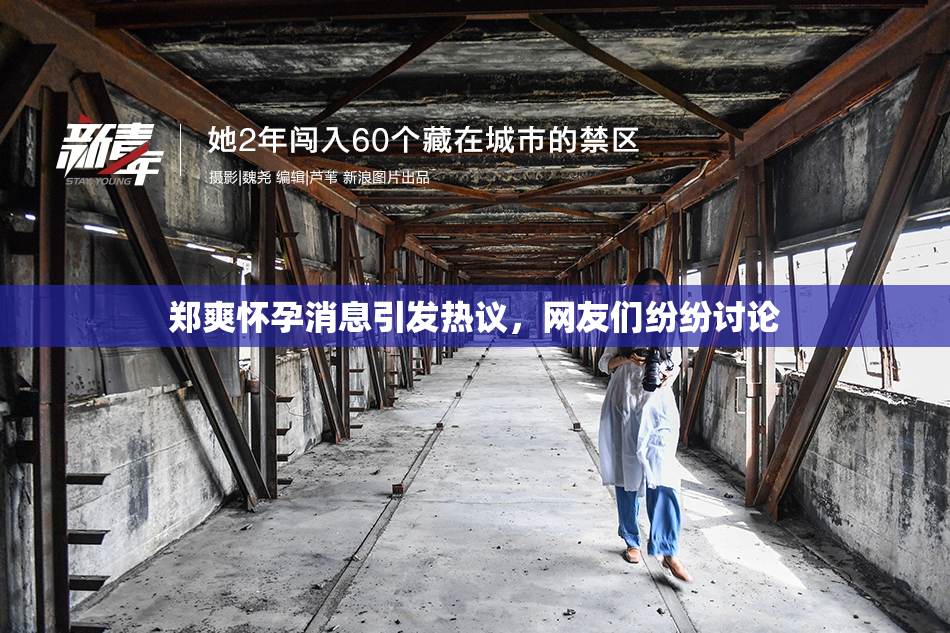 郑爽怀孕消息引发热议，网友们纷纷讨论