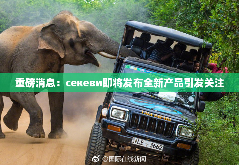 重磅消息：ceкеви即将发布全新产品引发关注