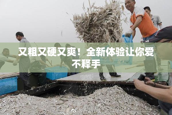 又粗又硬又爽！全新体验让你爱不释手