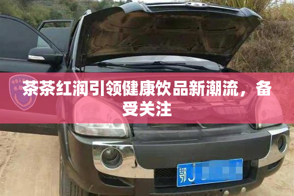 茶茶红润引领健康饮品新潮流，备受关注