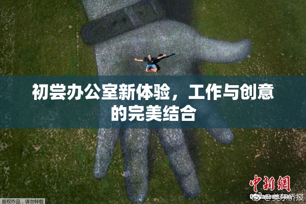 初尝办公室新体验，工作与创意的完美结合