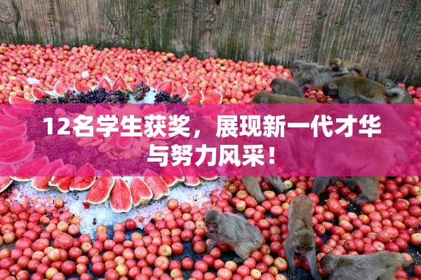 12名学生获奖，展现新一代才华与努力风采！