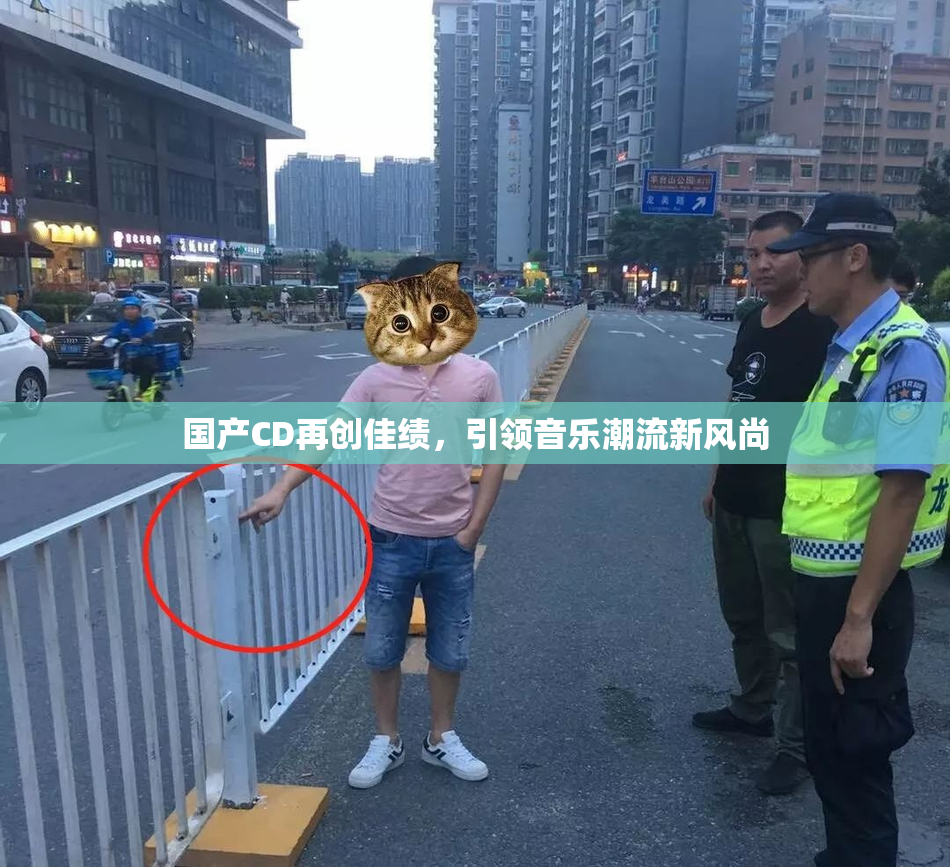 国产CD再创佳绩，引领音乐潮流新风尚