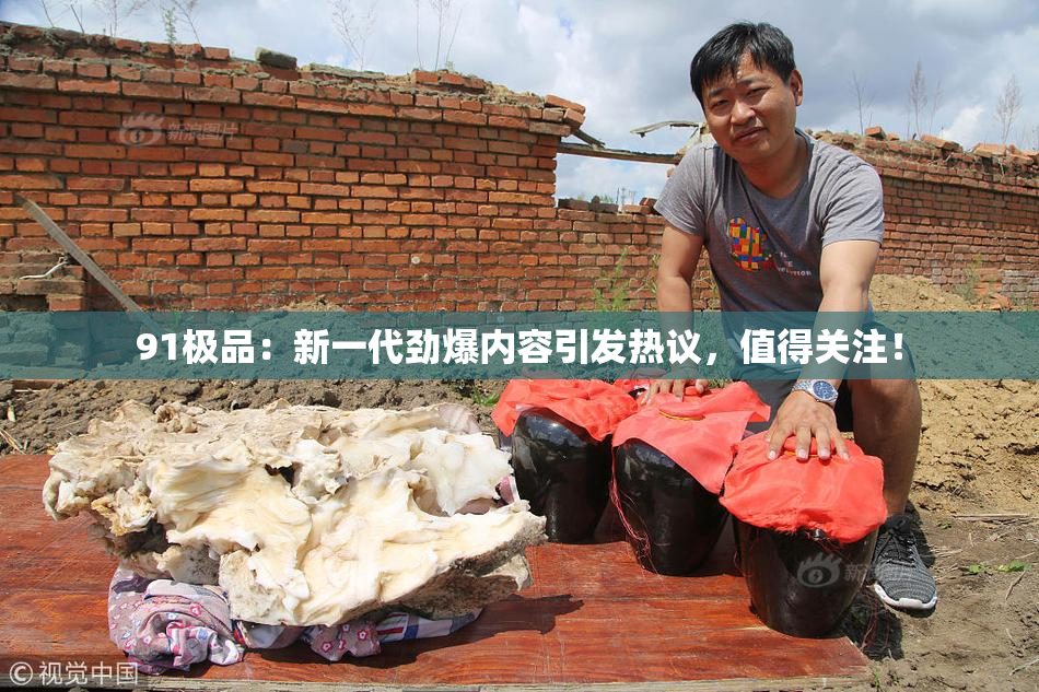 91极品：新一代劲爆内容引发热议，值得关注！