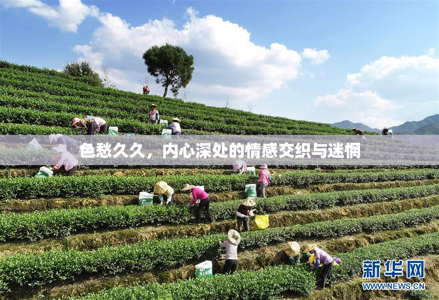 色愁久久，内心深处的情感交织与迷惘