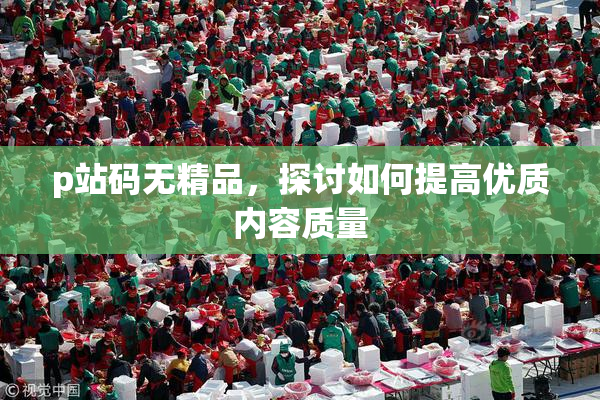 p站码无精品，探讨如何提高优质内容质量